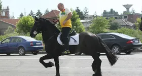 Galerie foto - poza 1