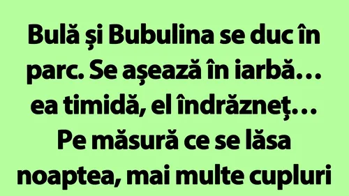 BANC | Bulă și Bubulina se duc în parc