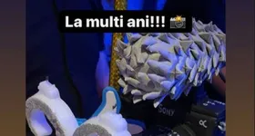 Galerie foto - poza 4