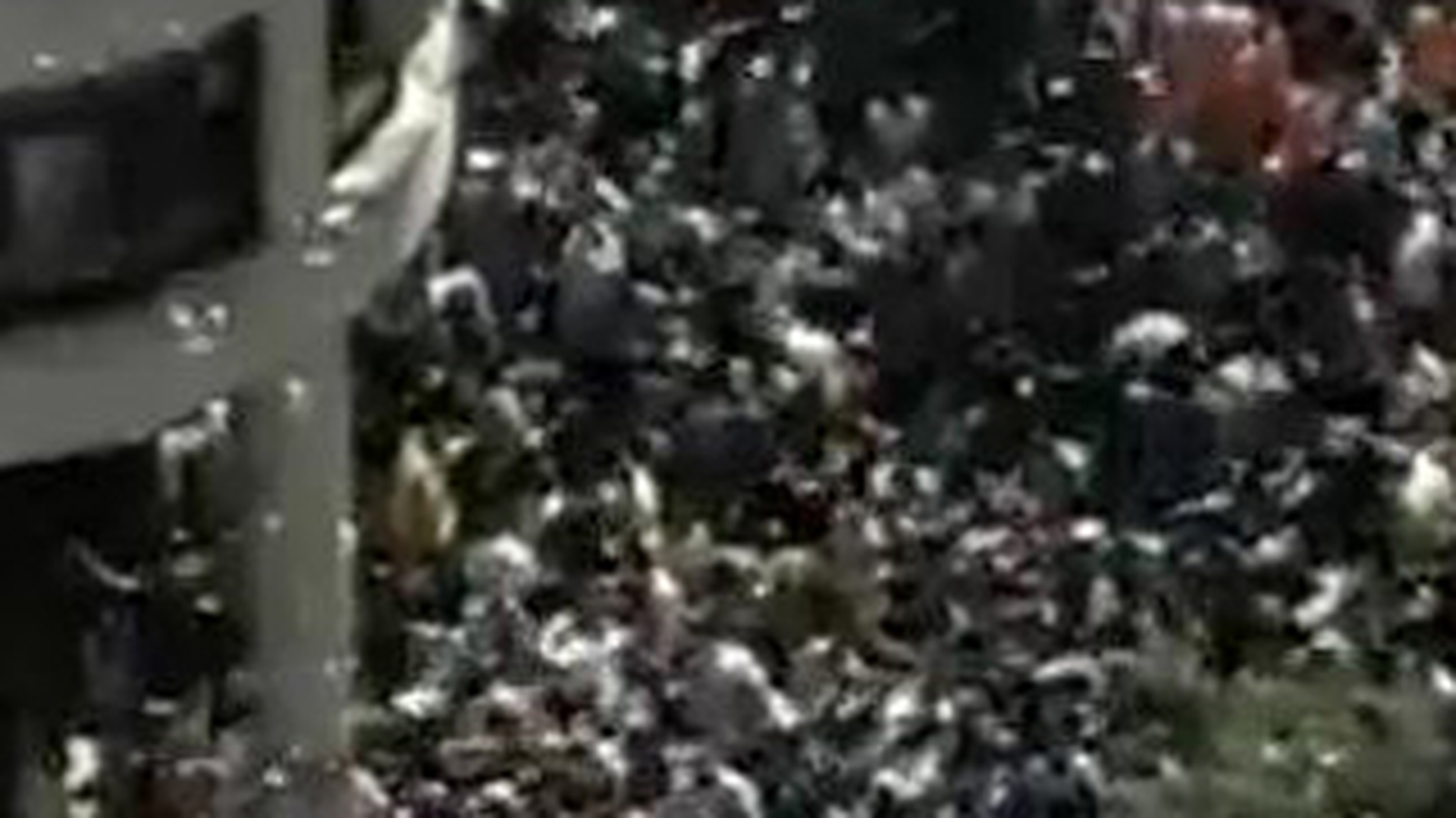 VIDEO In Rio de Janeiro ploua cu bani! VEZI AICI cum au reactionat oamenii!
