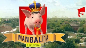 Nu e glumă! Au cerut urgent să schimbe numele serialului Mangalița de pe Antena 1