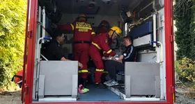 Galerie foto - poza 1