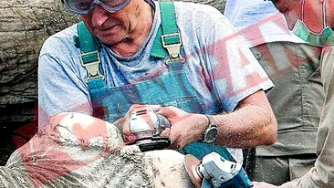 I-au taiat unghiile cu flexul