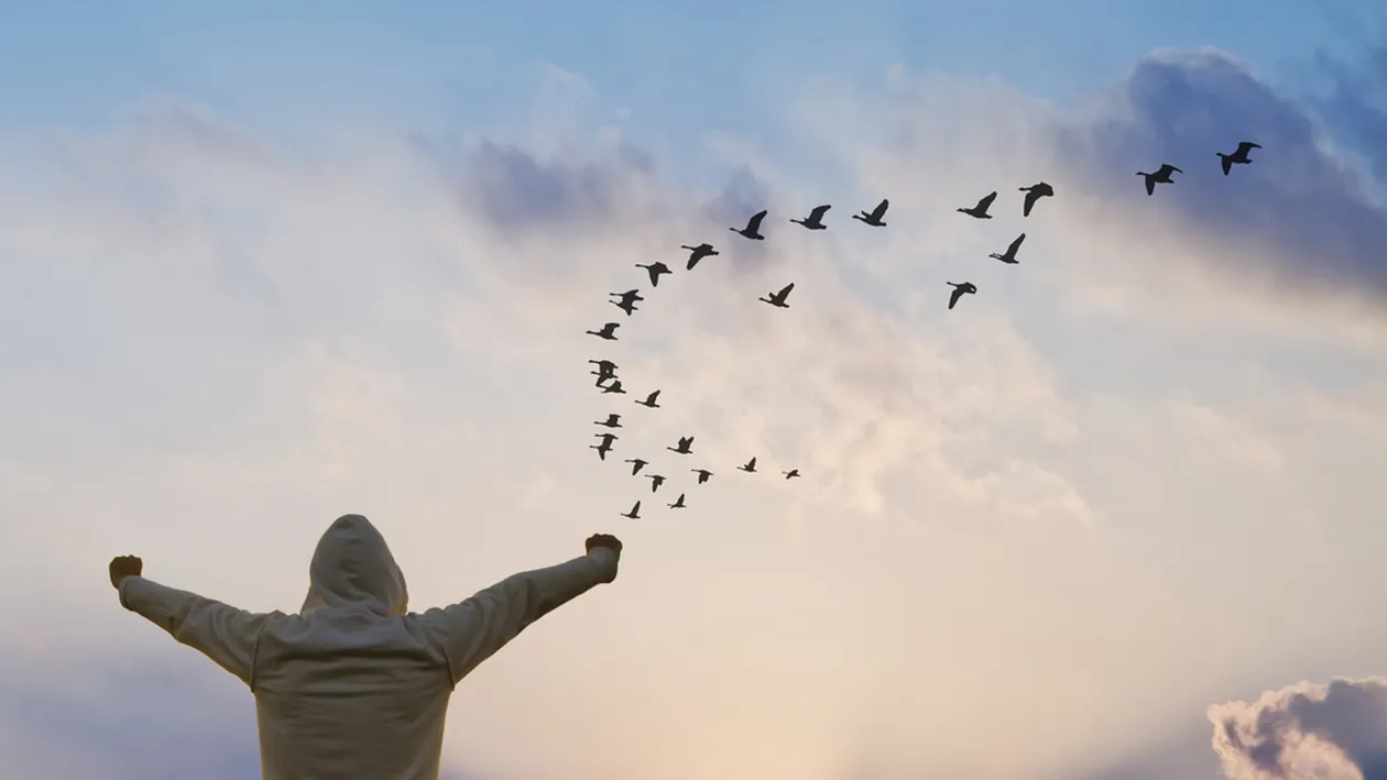 TOP 10 vedete din România care au văzut moartea cu ochii