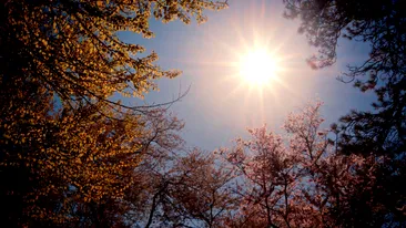 Vremea se încălzește vineri. Ce temperaturi anunță meteorologii