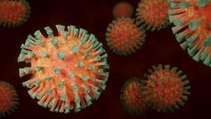 Coronavirus România, 24 iulie 2021. Prima zi cu zero decese în țară