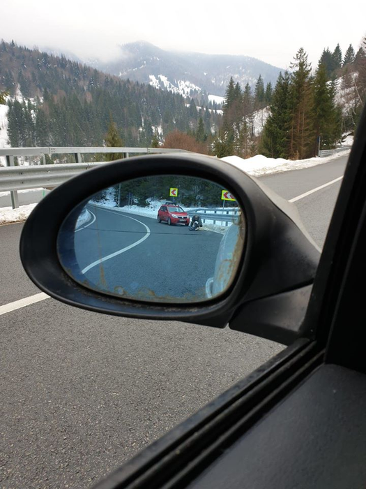 Caz șocant în Maramureș! Un câine a fost împușcat în fața unui copil de 6 ani