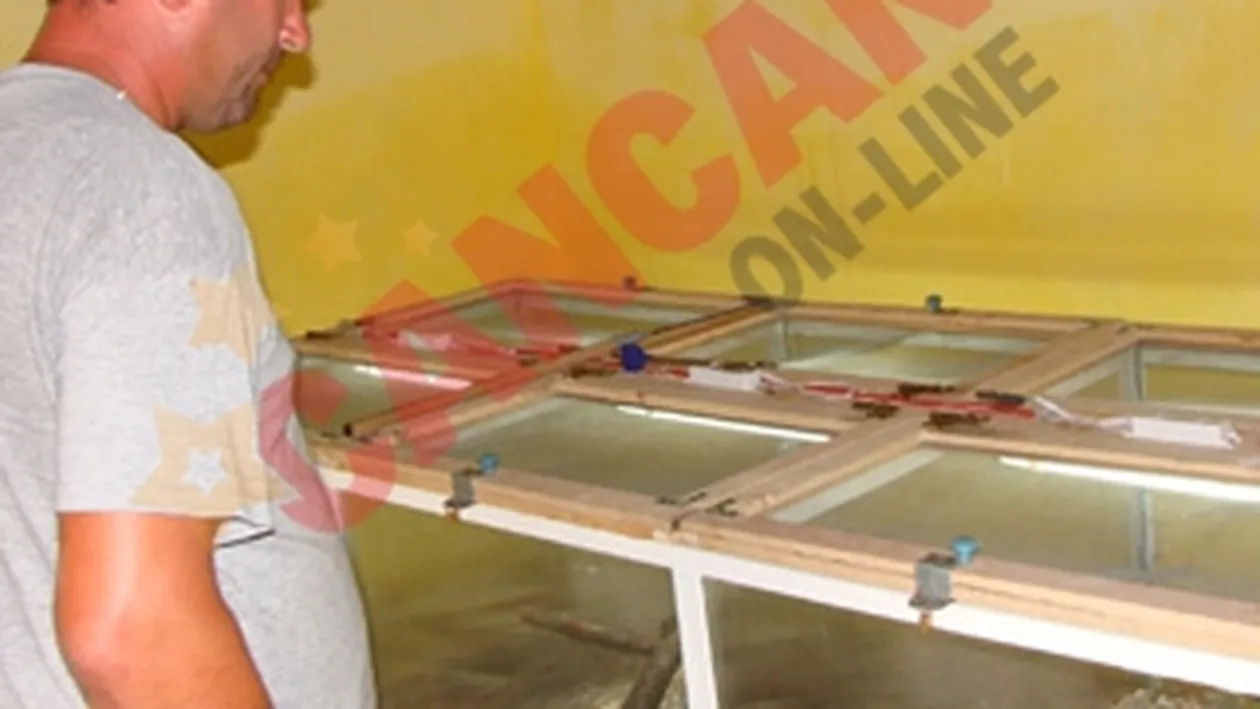 A investit banii de masina in vipere cu corn