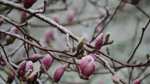 Prognoza meteo azi, 17 martie 2026. Răcire în Transilvania: temperaturi aproape de îngheț în depresiunile montane
