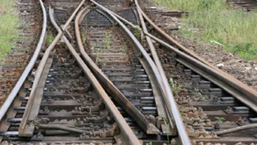 Trei persoane care transportau trei tone de sina de cale ferata au fost prinse