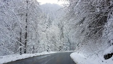 România, lovită de vortexul polar! Iarna 2025–2026, una dintre cele mai geroase din ultimii ani