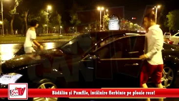 Badalau si Pamfile, intalnire fierbinte pe ploaie rece!