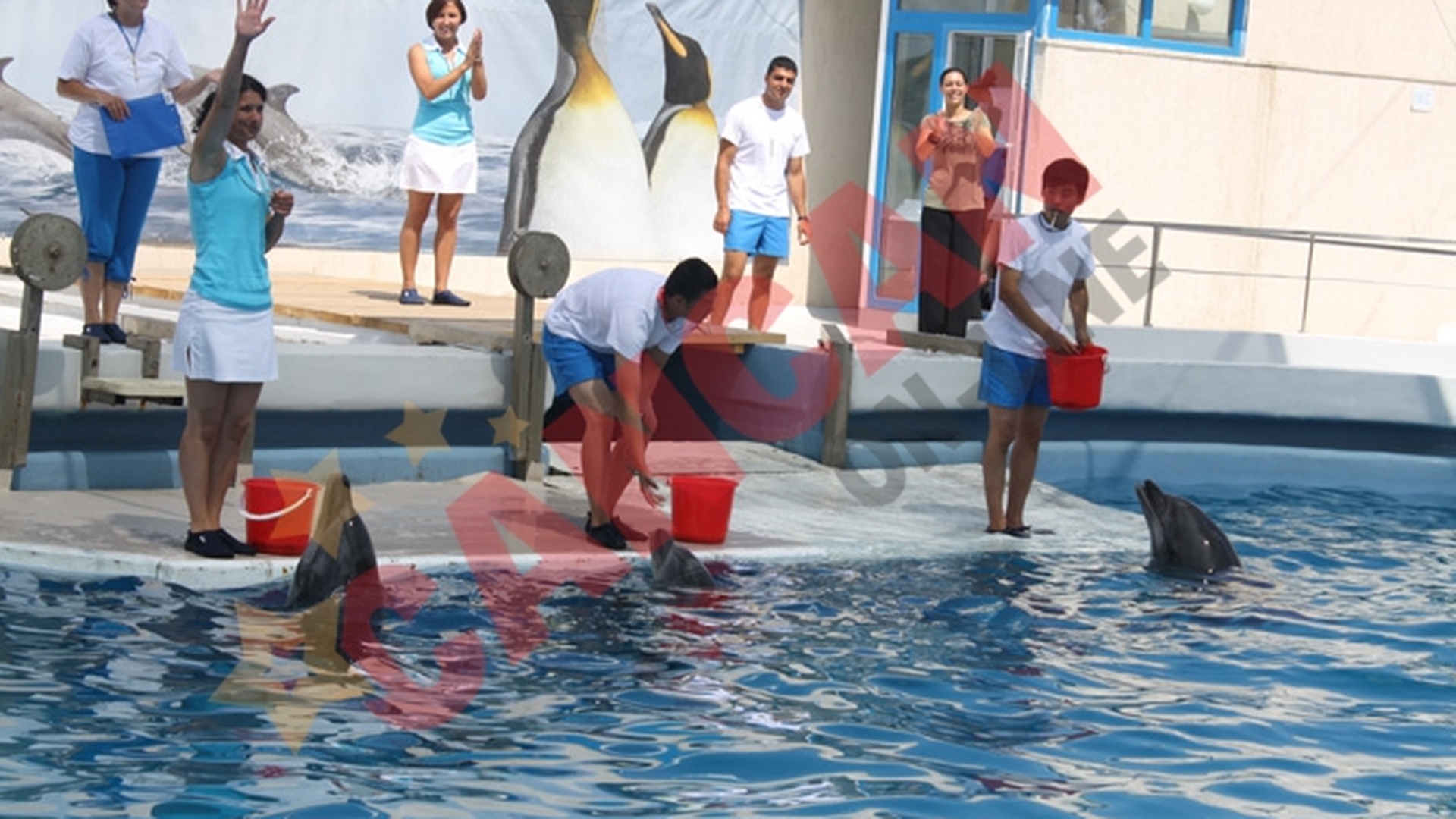 FOTO Cele trei vedete ale Delfinariului au dat prima reprezentatie cu public