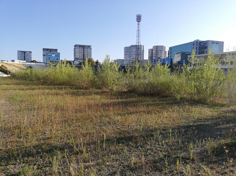 Uluitor cum arată celebrul stadion unde Mirel Rădoi a fost amenințat cu moartea: ”Fugiți…”