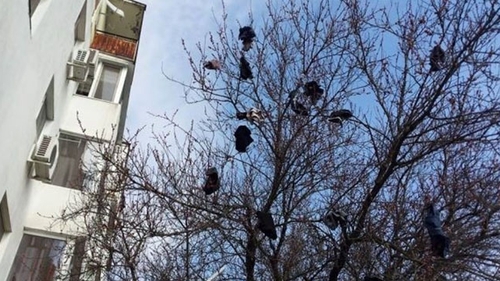 Vecinii ii ocupau mereu locul de parcare. Razbunarea incredibila a unei femei!