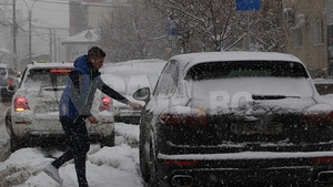 S-a intors după o accidentare groaznică! Unde l-am pozat pe "Briliantul" Stelei înainte de reunire