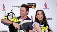 Wolverin are iubită nouă, la 16 luni de la divorț! Hugh Jackman și Sutton Foster au recunoscut tot