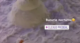 Galerie foto - poza 3