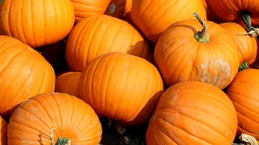 Prețuri de groază, înainte de Halloween! Cât costă un kilogram de dovleac la final de octombrie