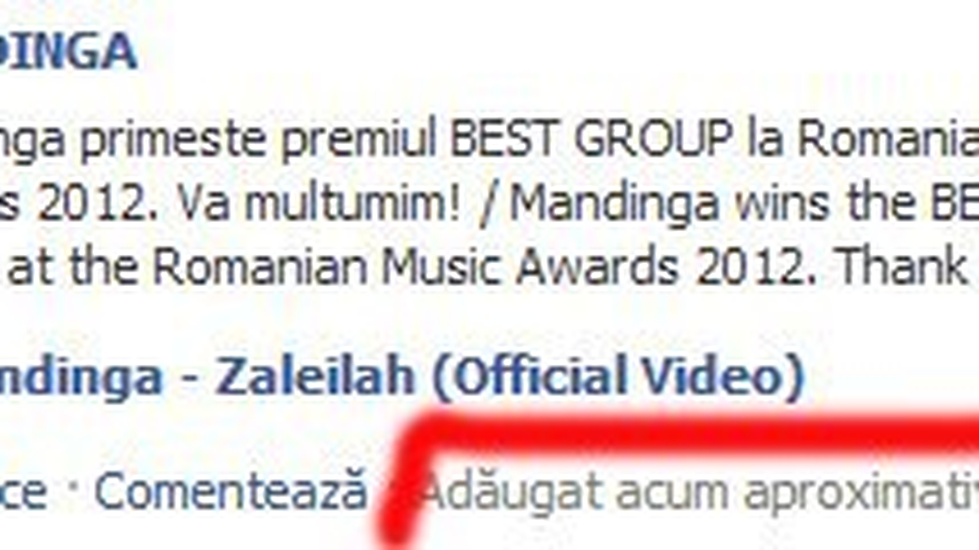 Neintelegeri la Romanian Music Awards! Mandinga se astepta sa castige trofeul Best Group, insa premiul a fost dat altei trupe