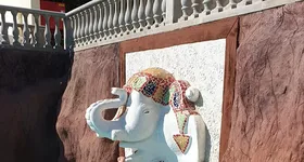 Galerie foto - poza 1