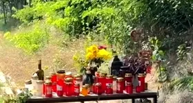 Galerie foto - poza 3