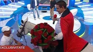 VIDEO Adi Caval a venit calare pe un cal intr-un studio TV pentru a fi iertat de sotie! Vezi care a fost reactia ei!