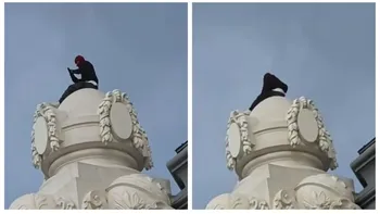 Un bărbat s-a urcat deghizat pe Cazinoul din Constanța. Imaginile au devenit virale