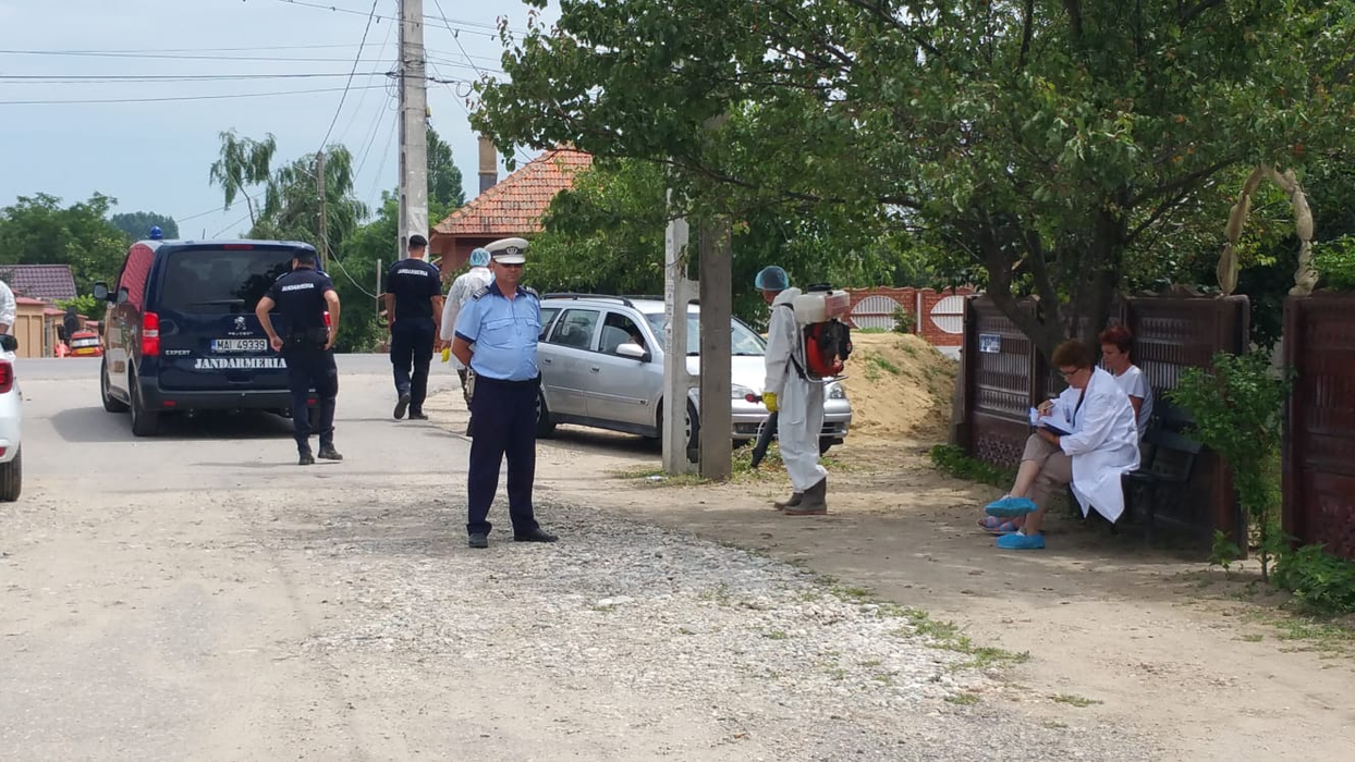 Echipele de intervenție au venit încă de dimineață la Teasc