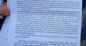 Galerie foto - poza 4