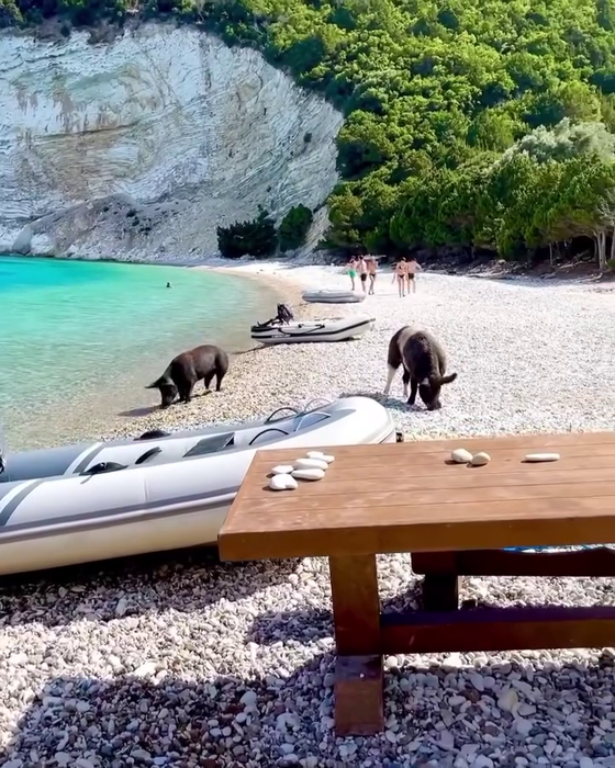 Sursa foto: Instagram Ithaki island