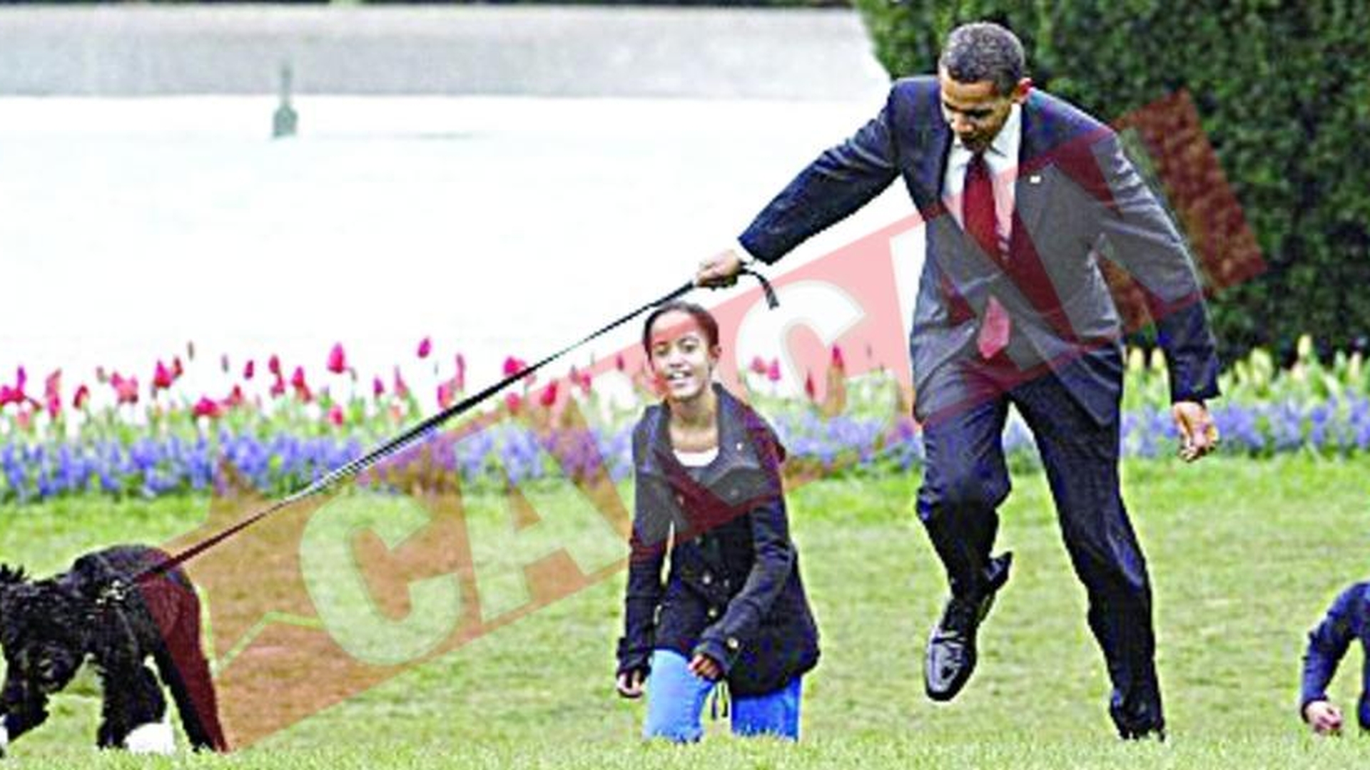 Obama, tarat de Bo la Casa Alba