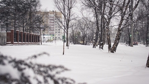 România, lovită de un nou val de frig! Când se încălzește vremea? E mai devreme decât vă așteptați