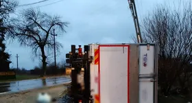 Galerie foto - poza 2