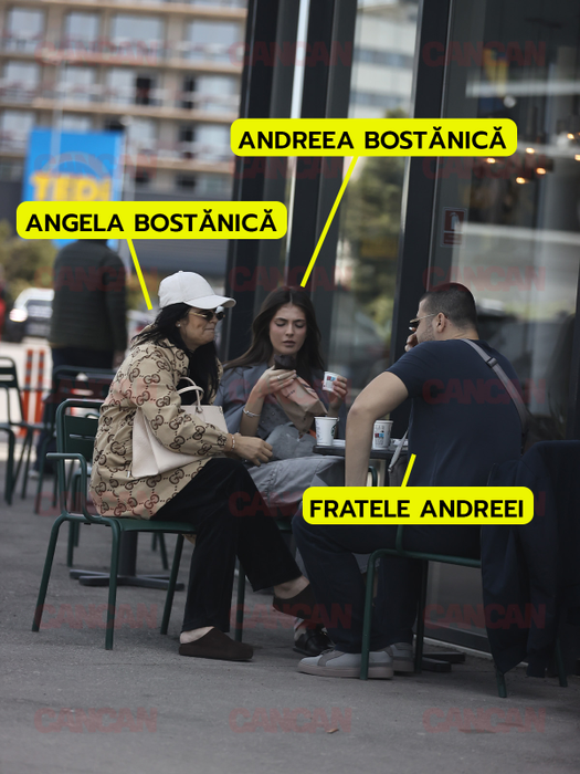 Andreea Bostănică, vizată de un proces civil