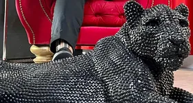 Galerie foto - poza 4