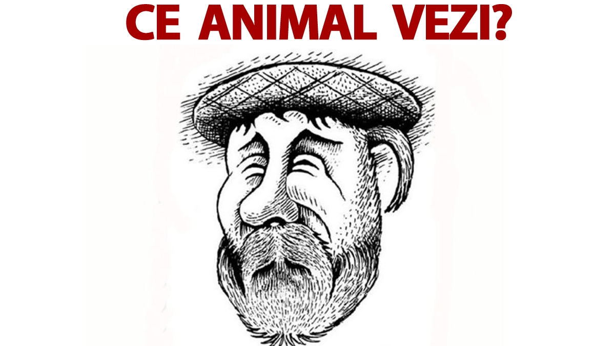 Test IQ | Ce animal vezi în această fotografie? Doar 6 din 10 observă detaliul