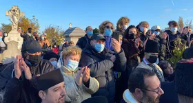 Galerie foto - poza 3