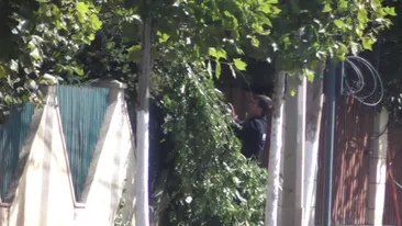 VIDEO DEMENTIAL El e „Dorel de Pipera”! A tras de o craca, s-a urcat cu picioarele pe gard si a fost cat pe ce sa fie calcat de masini!