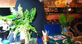 Galerie foto - poza 2