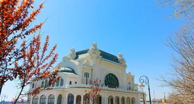 Galerie foto - poza 3