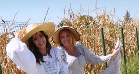 Galerie foto - poza 2