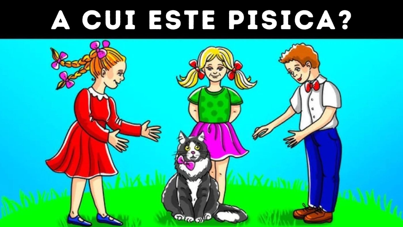 Test de inteligență | Cine este stăpânul pisicii din imagine? Ai fix 10 secunde să ghicești