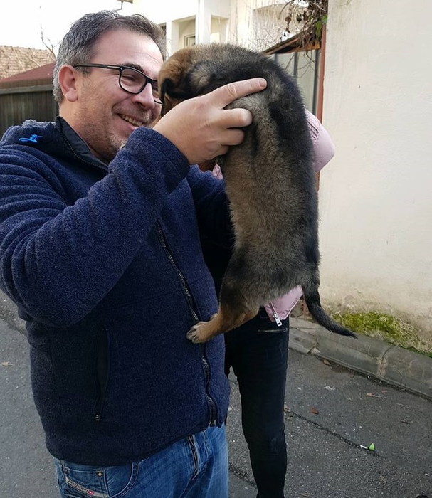 Căţeluşul a avut noroc cu şoferul milostiv şi cu pompierii