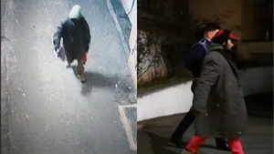 Bărbatul care a omorât un câine după ce l-a spânzurat de o țeavă în Piața Universității a fost prins. Cine este individul
