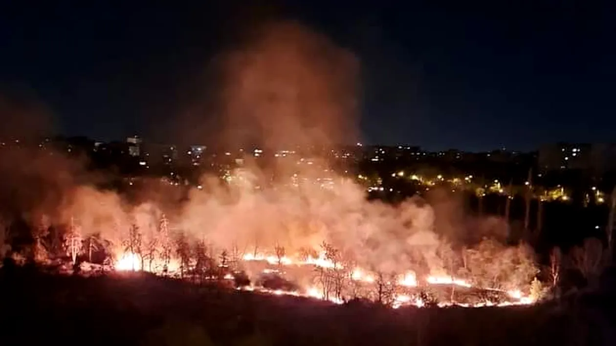 Breaking news! Un nou incendiu puternic în Parcul IOR. Ultimul eveniment asemănător avusese loc în urmă cu o lună