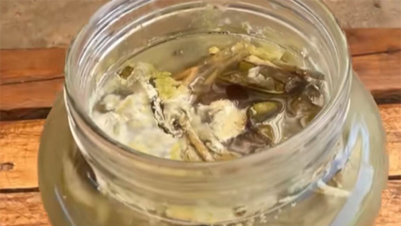 Câte luni rezistă murăturile în borcan, de fapt, până să facă floare