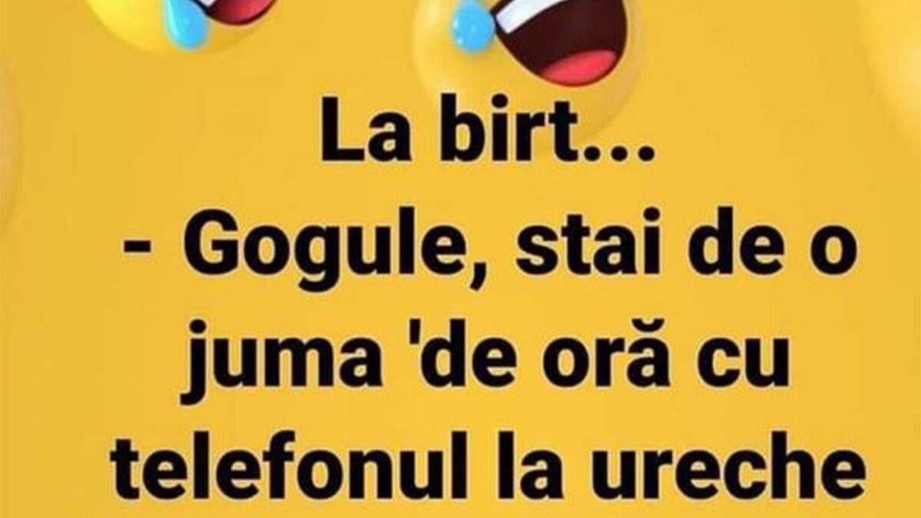 BANC | "Gogule, stai de juma' de oră cu telefonul la ureche"
