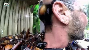 Clipe de groaza pentru Dorian Popa in jungla africana! A plans cu gandacul in gura