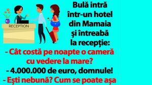 BANC | Bulă intră într-un hotel din Mamaia, întreabă cât costă o cameră și primește răspuns: "4.000.000 de euro"